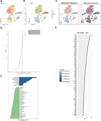 Creating a multifaceted prognostic model for cutaneous melanoma: the convergence of single-cell and bulk sequencing with machine learning